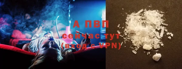 бошки Дмитриев