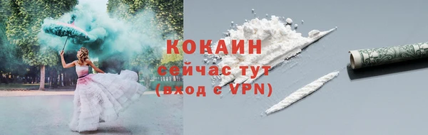бошки Дмитриев
